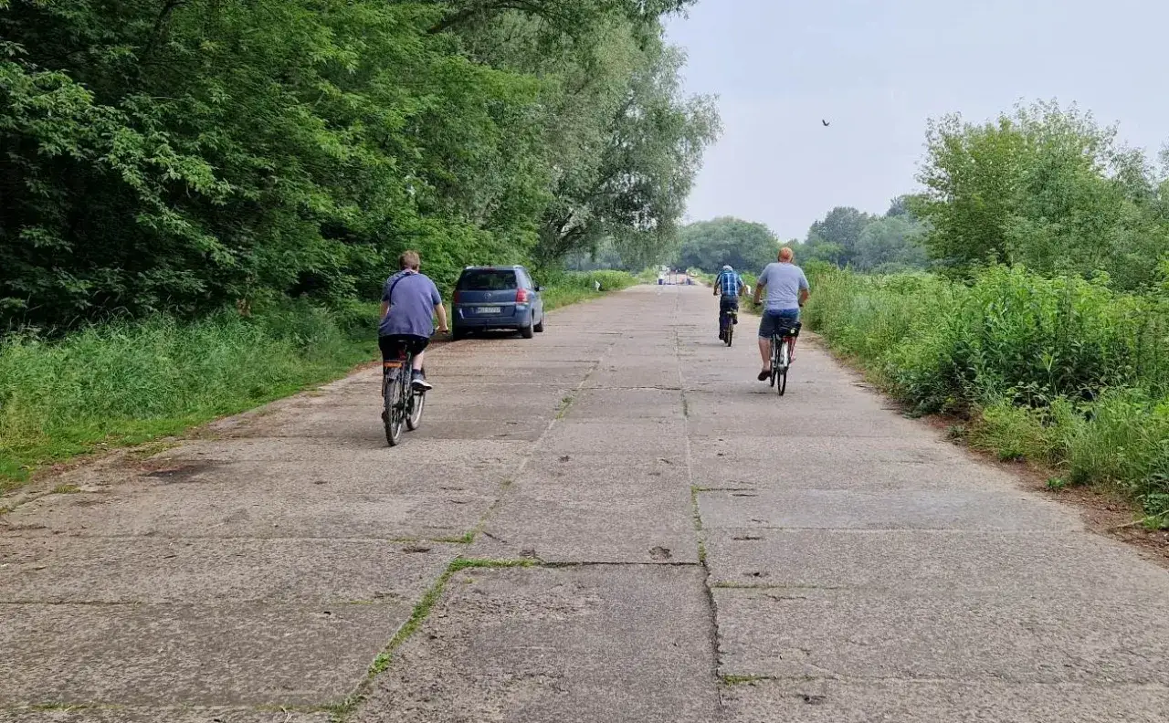 Trzech rowerzystów przemierza betonową, gazy trasę rowerową wśród zieleni.